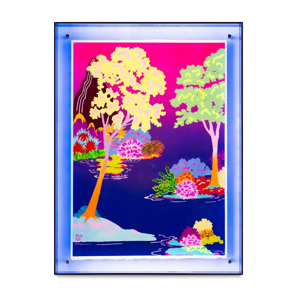Sun Catchers