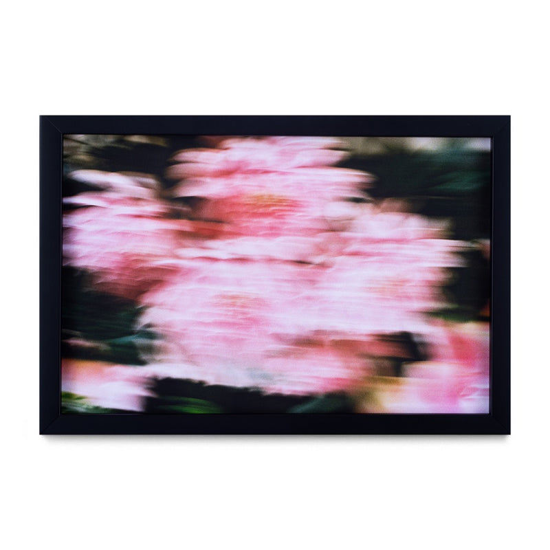 Desvanecer III, 2025