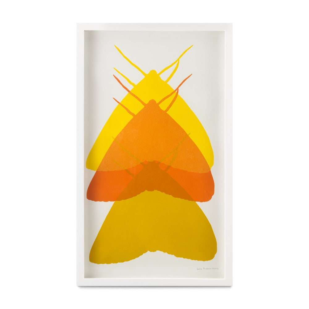 Polilla II