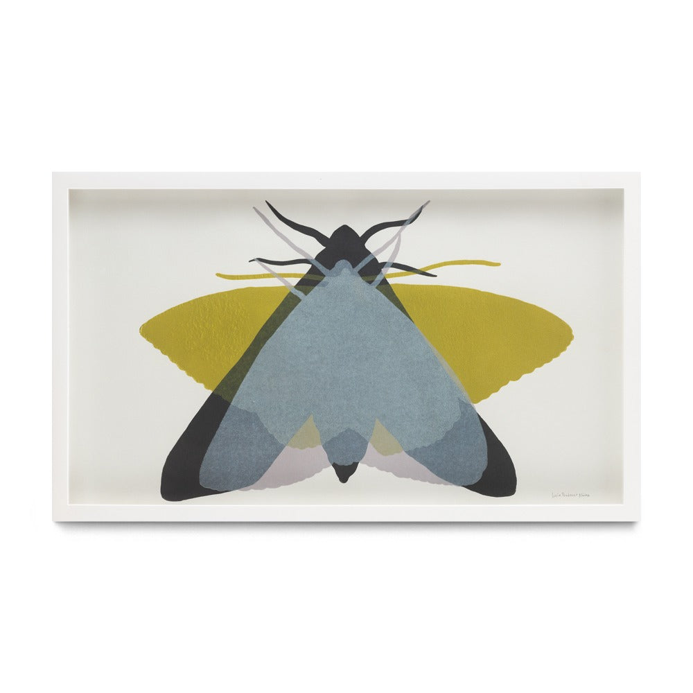 Polilla III